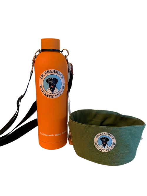Dr. Brahmsy's Dogtastic Wander-Flask Water Bottle — Preorder, Ships July 2026