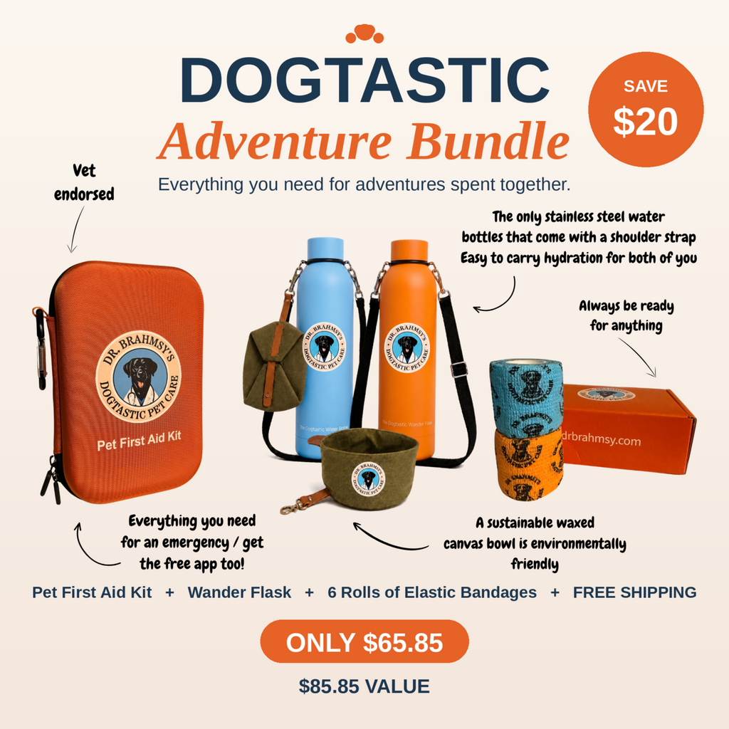 Dr. Brahmsy's Dogtastic Adventure Bundle