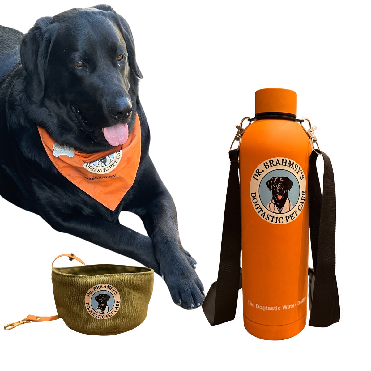 The Dogtastic Wander Flask - It's finally here!