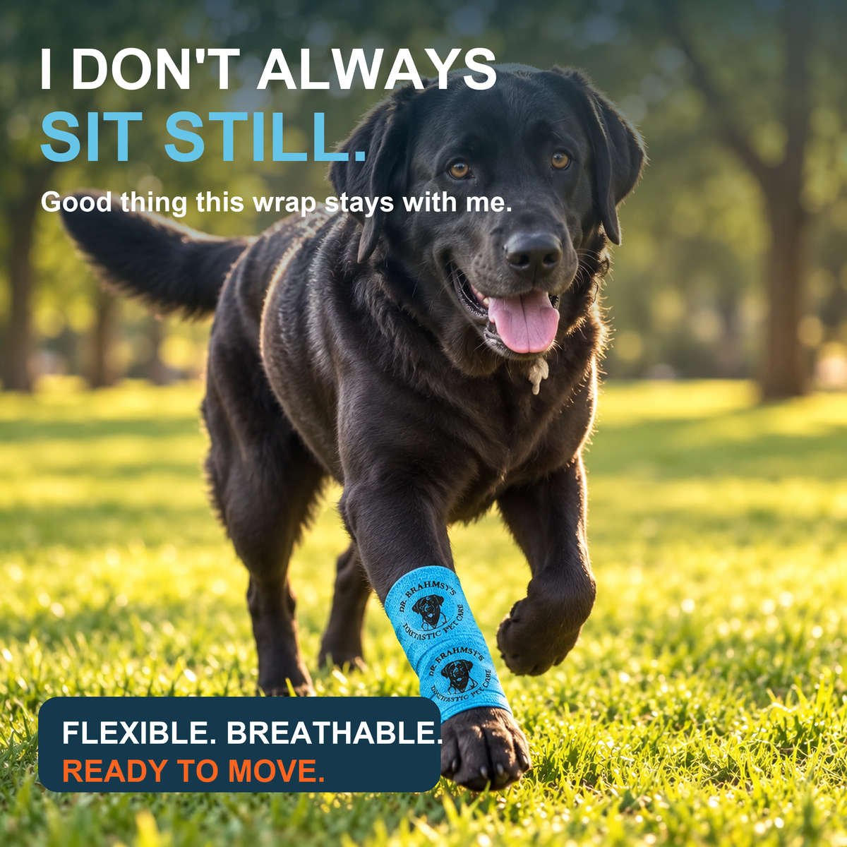 Brahms running through grass in a blue leg wrap — flexible, breathable, ready to move