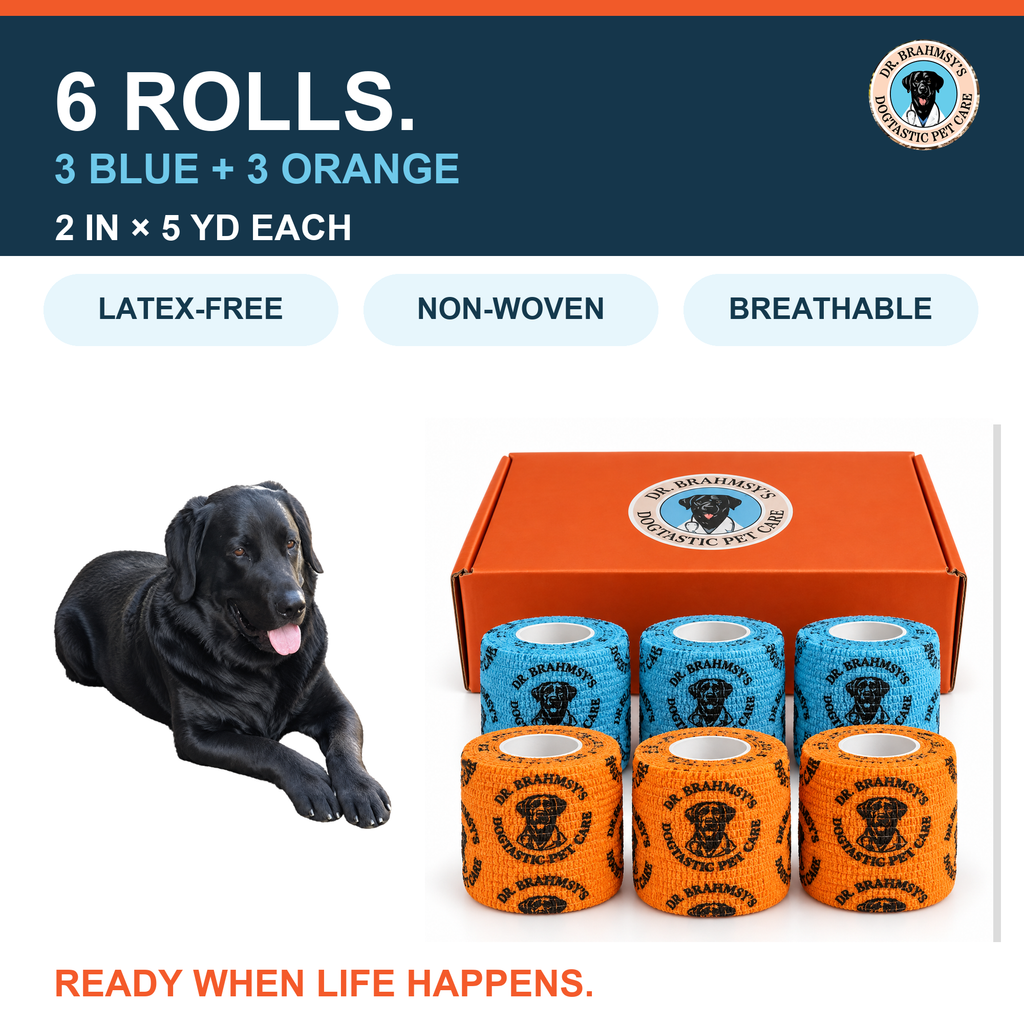 Six rolls: three blue, three orange, 2 inches by 5 yards each, latex-free, non-woven, breathable