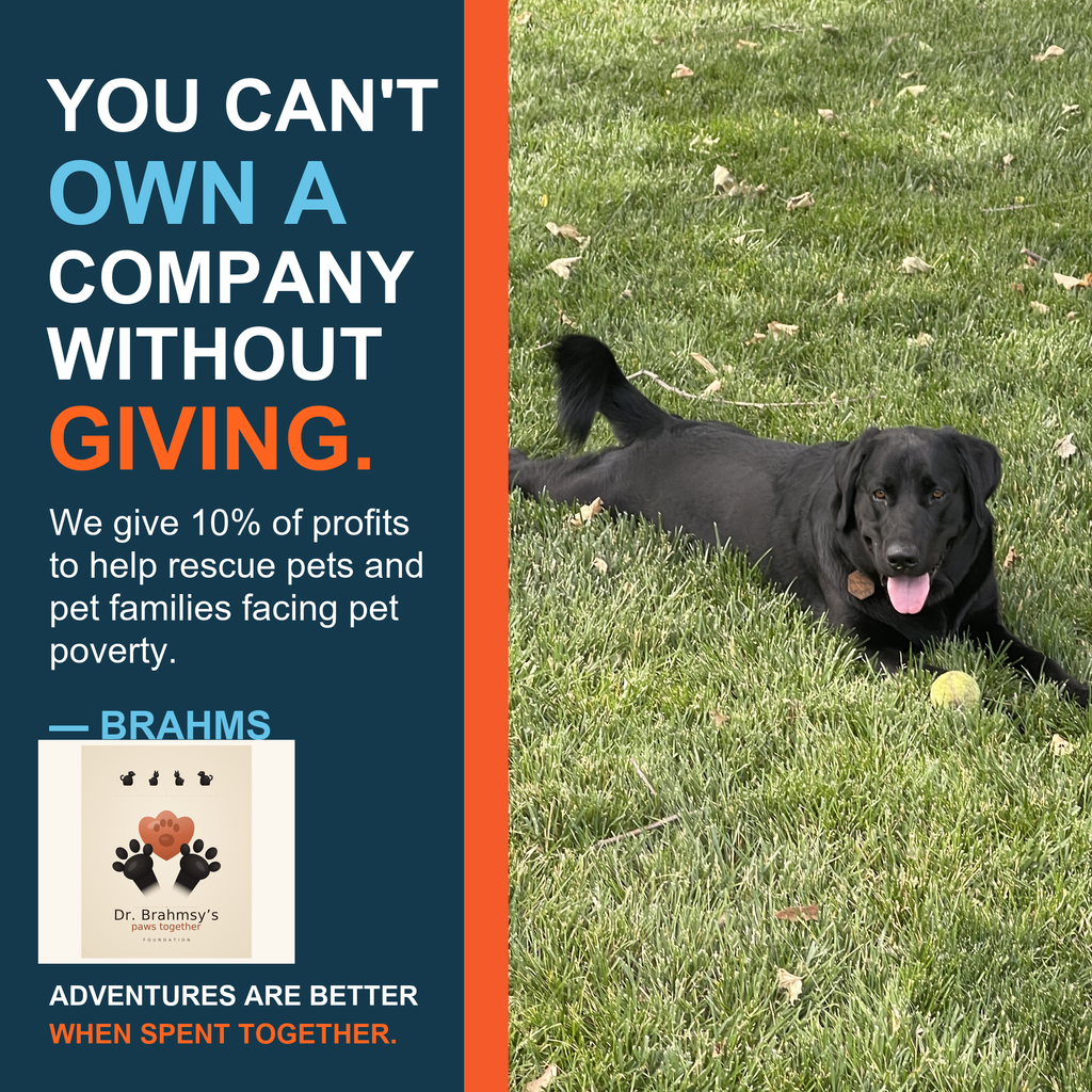 We give 10% of profits to help rescue pets and pet families facing pet poverty