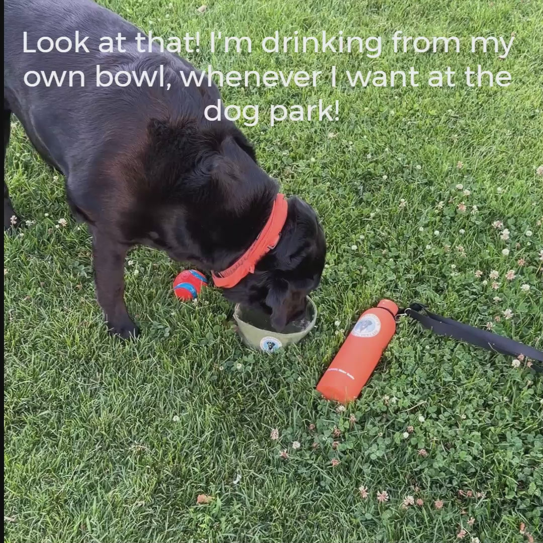 The Dogtastic Wander Flask - It's finally here!